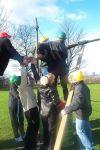 Case Study : Team Building with Swansea Council
